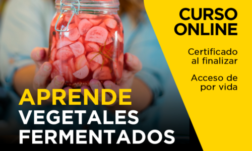 miniatura del curso