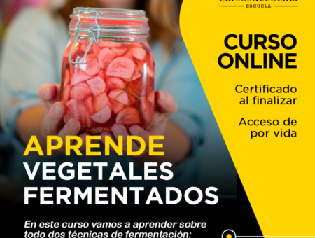 vegetales fermentados